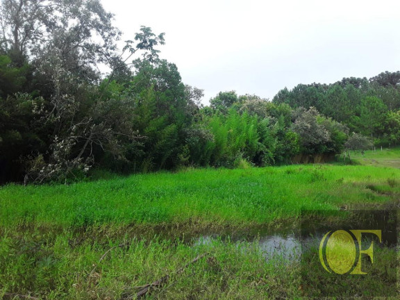 Imagem Chácara à Venda, 4 m² em Tres Coqueiros - Avaré Imagem Chácara à Venda, 4 m² em Tres Coqueiros - Avaré
