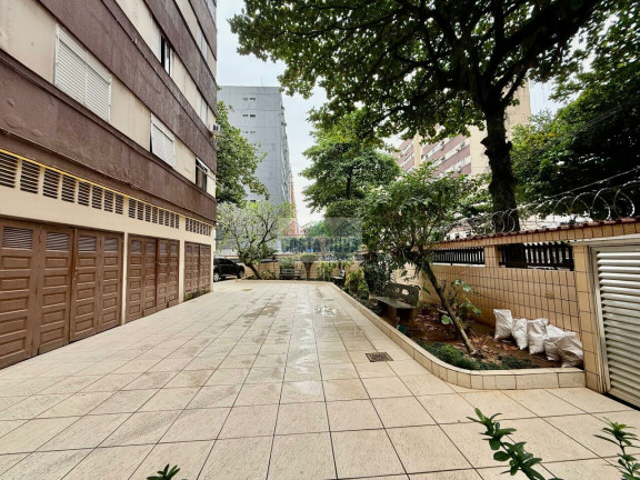 Imagem Apartamento com 3 Quartos à Venda, 75 m² em Encruzilhada - Santos Imagem Apartamento com 3 Quartos à Venda, 75 m² em Encruzilhada - Santos