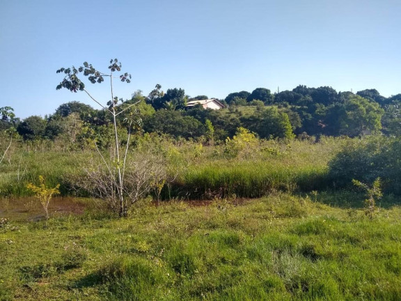 Imagem Imóvel à Venda, 874 m² em Palmeiras - Guaraparia