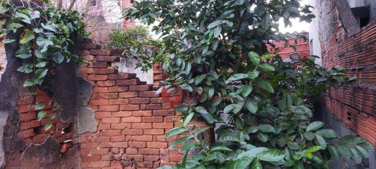 Imagem Terreno à Venda, 150 m² em Cidade Patriarca - São Paulo Imagem Terreno à Venda, 150 m² em Cidade Patriarca - São Paulo