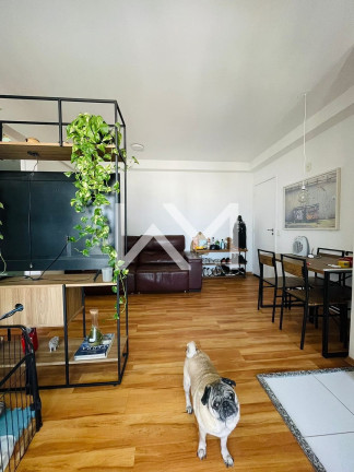Imagem Apartamento com 2 Quartos à Venda, 58 m² em Gopoúva - Guarulhos Imagem Apartamento com 2 Quartos à Venda, 58 m² em Gopoúva - Guarulhos