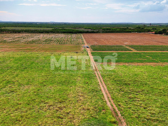 Imagem Fazenda à Venda, em área Rual - Petrolina Imagem Fazenda à Venda, em área Rual - Petrolina