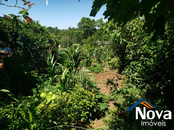 Imagem Imóvel com 3 Quartos à Venda, 85 m² em Piá - Nova Petrópolis Imagem Imóvel com 3 Quartos à Venda, 85 m² em Piá - Nova Petrópolis