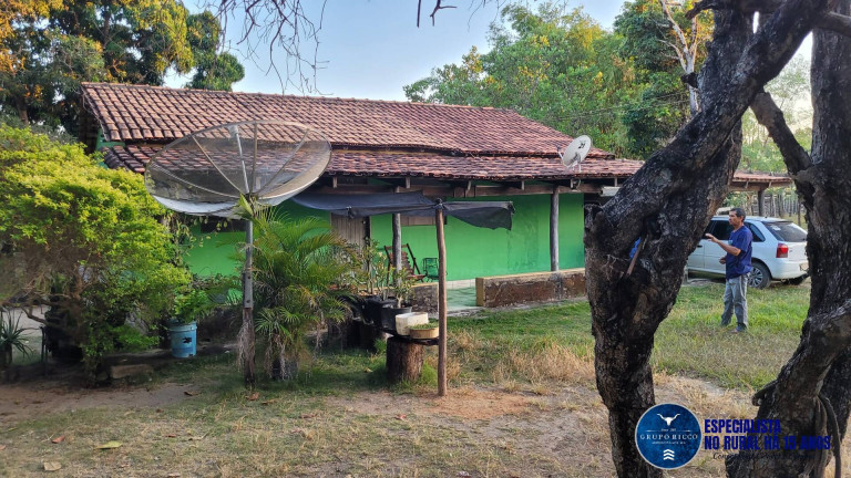 Imagem Fazenda à Venda, 37 m² em Zona Rural - Faina Imagem Fazenda à Venda, 37 m² em Zona Rural - Faina