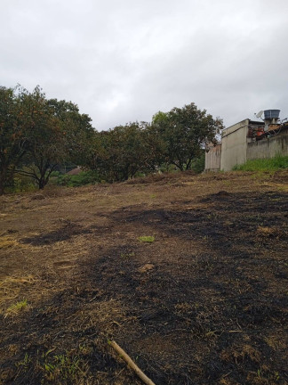 Imagem Terreno à Venda, 4.379 m² em Campo De Santana - Curitiba Imagem Terreno à Venda, 4.379 m² em Campo De Santana - Curitiba