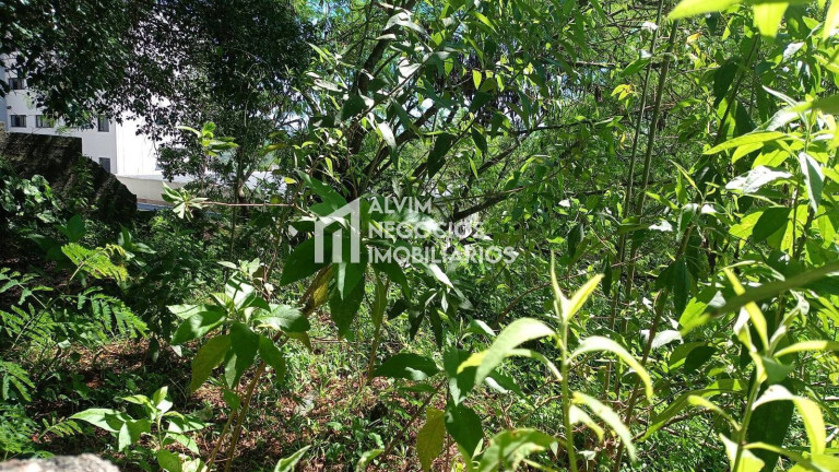 Imagem Terreno à Venda, 685 m² em Jardim Nova América - São José Dos Campos Imagem Terreno à Venda, 685 m² em Jardim Nova América - São José Dos Campos