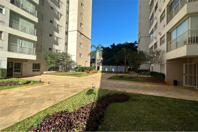 Imagem Apartamento com 3 Quartos à Venda, 83 m² em Vila Vera - São Paulo