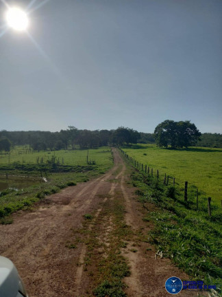 Imagem Chácara à Venda, 5 m² em Zona Rural - Santa Cruz De Goiás Imagem Chácara à Venda, 5 m² em Zona Rural - Santa Cruz De Goiás
