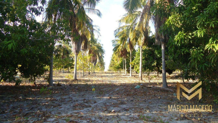 Imagem Terreno à Venda, 247.664 m² em Zona Rural - Beberibe Imagem Terreno à Venda, 247.664 m² em Zona Rural - Beberibe
