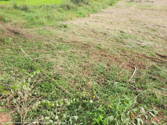 Imagem Chácara à Venda, 3.600 m² em Pocinhos Do Rio Verde - Caldas Imagem Chácara à Venda, 3.600 m² em Pocinhos Do Rio Verde - Caldas