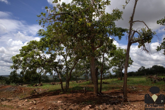 Imagem Imóvel à Venda, 20.000 m² em Fazendinhas Guará - Jequitibá Imagem Imóvel à Venda, 20.000 m² em Fazendinhas Guará - Jequitibá