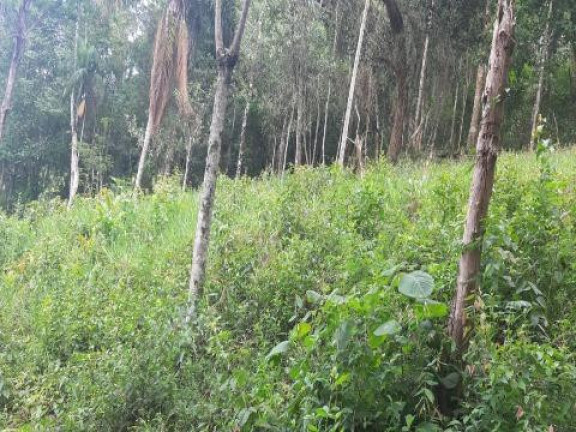 Imagem Terreno à Venda, 5.470 m² em Santa Isabel - Santa Isabel