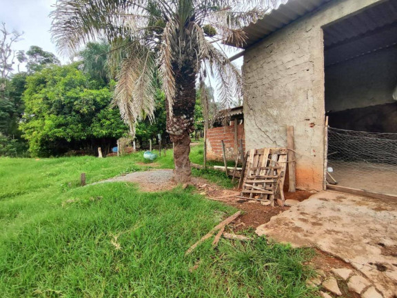Imagem Chácara à Venda, 4 m² em Zona Rural - Anicuns Imagem Chácara à Venda, 4 m² em Zona Rural - Anicuns