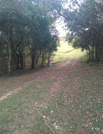 Imagem Imóvel com 2 Quartos à Venda, 21.808 m² em Jardim Itapituba - Contenda Imagem Imóvel com 2 Quartos à Venda, 21.808 m² em Jardim Itapituba - Contenda