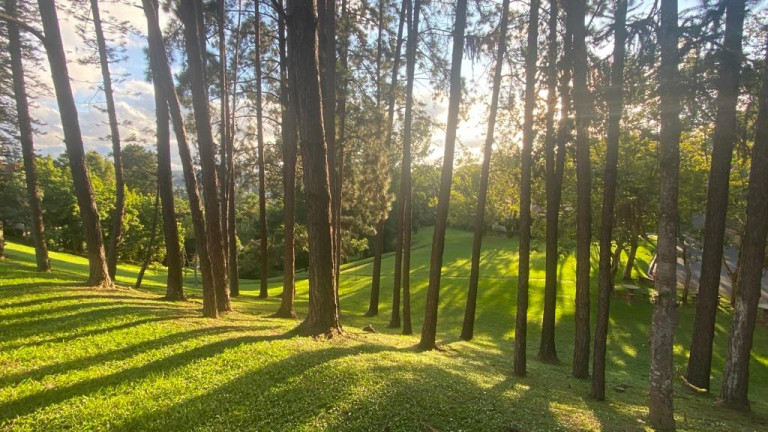 Imagem Imóvel com 3 Quartos à Venda, em Granja Viana Ii - Cotia Imagem Imóvel com 3 Quartos à Venda, em Granja Viana Ii - Cotia