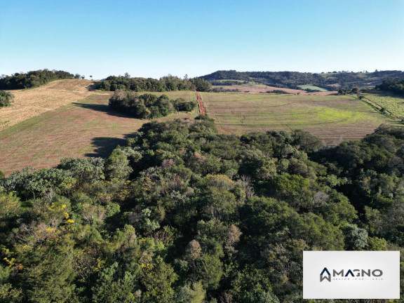 Imagem Chácara à Venda, 242.000 m² em Centro - Santa Tereza Do Oeste