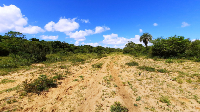 Imagem Fazenda à Venda, 900.000 m² em Centro - Viamão Imagem Fazenda à Venda, 900.000 m² em Centro - Viamão