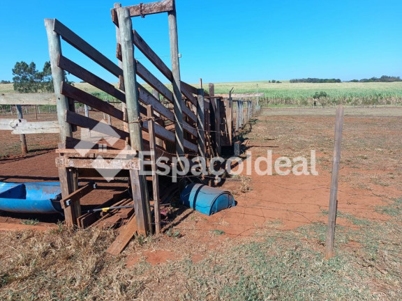 Imagem Fazenda à Venda, 5.000 m² em área Rural De Macatuba - Macatuba Imagem Fazenda à Venda, 5.000 m² em área Rural De Macatuba - Macatuba