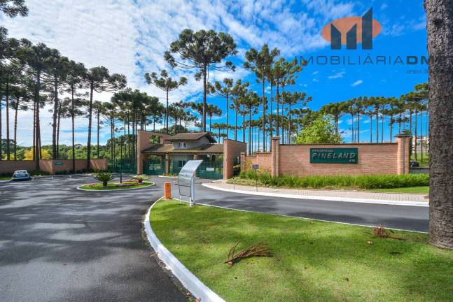 Imagem Casa de Condomínio com 4 Quartos à Venda, 370 m² em Pineville - Pinhais