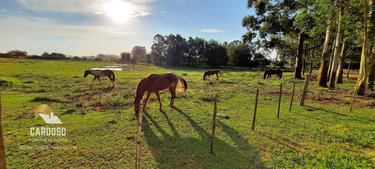 Imagem Fazenda à Venda, 4.200 m² em Boa Vista - Viamão Imagem Fazenda à Venda, 4.200 m² em Boa Vista - Viamão