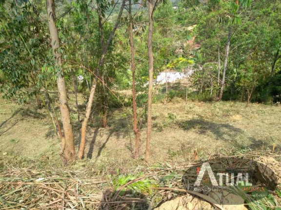 Imagem Terreno à Venda, 1 m² em Terra Preta - Mairiporã