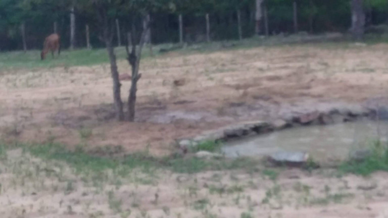 Imagem Terreno à Venda, 8.320 m² em Fonte Limpa - Araruama Imagem Terreno à Venda, 8.320 m² em Fonte Limpa - Araruama