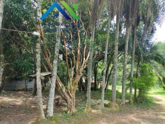 Imagem Terreno à Venda, 5.025 m² em Maracana - Jarinu