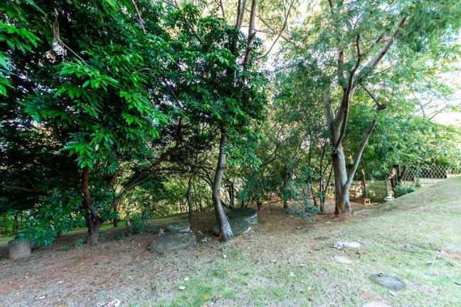 Imagem Apartamento com 2 Quartos à Venda, 47 m² em Jardim Alto Da Boa Vista - Valinhos