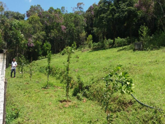 Imagem Imóvel com 3 Quartos à Venda, 147.323 m² em Juquitiba - Juquitiba