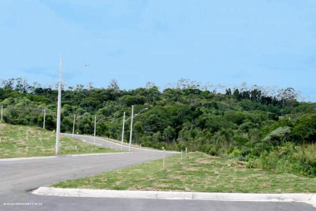Imagem Terreno à Venda, 501 m² em Reserva Samambaia - Cotia Imagem Terreno à Venda, 501 m² em Reserva Samambaia - Cotia