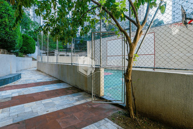 Imagem Apartamento com 3 Quartos à Venda, 61 m² em Vila Andrade - São Paulo Imagem Apartamento com 3 Quartos à Venda, 61 m² em Vila Andrade - São Paulo