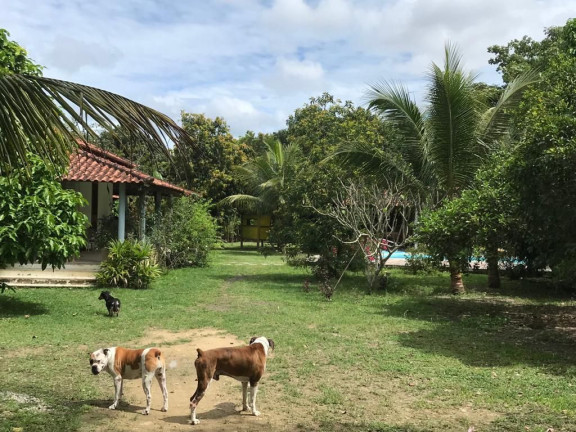 Imagem Casa com 5 Quartos à Venda, 587 m² em Caxito - Maricá