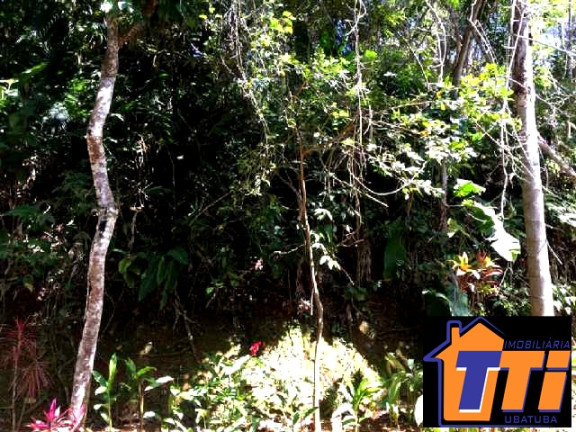 Imagem Terreno à Venda, 1.010 m² em Toninhas - Ubatuba Imagem Terreno à Venda, 1.010 m² em Toninhas - Ubatuba