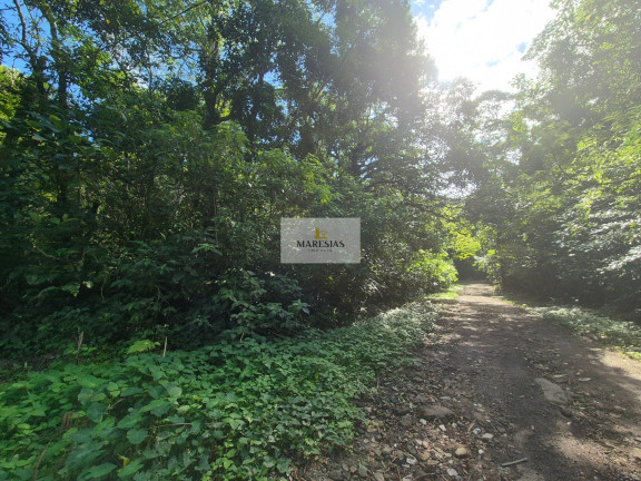 Imagem Terreno à Venda, 300 m² em Maresias - São Sebastião Imagem Terreno à Venda, 300 m² em Maresias - São Sebastião