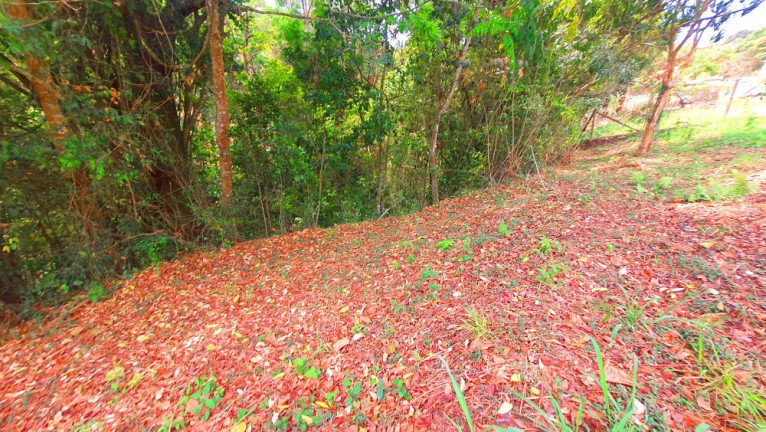 Imagem Imóvel à Venda, 700 m² em Loteamento Bosque Dos Palmares - Atibaia Imagem Imóvel à Venda, 700 m² em Loteamento Bosque Dos Palmares - Atibaia