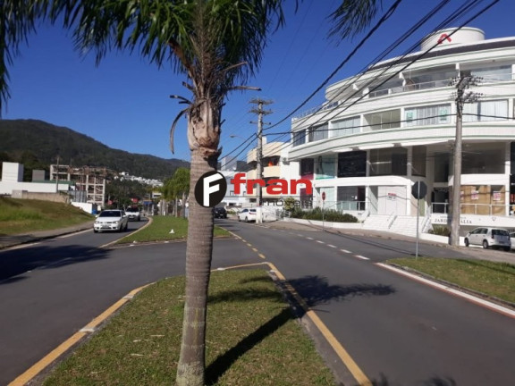 Imagem Sala Comercial à Venda, 40 m² em Itacorubi - Florianópolis Imagem Sala Comercial à Venda, 40 m² em Itacorubi - Florianópolis