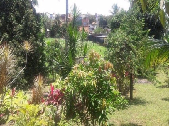 Imagem Chácara com 3 Quartos à Venda, 4.448 m² em São Cristóvão - Salvador Imagem Chácara com 3 Quartos à Venda, 4.448 m² em São Cristóvão - Salvador