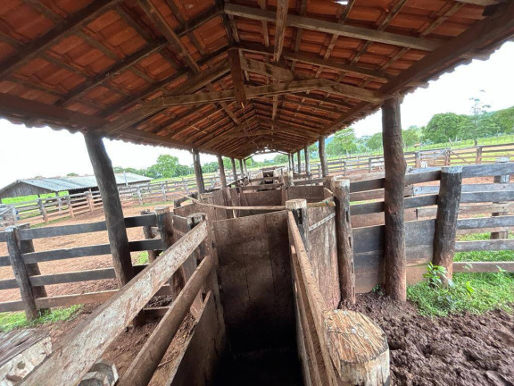 Imagem Fazenda à Venda, 1 m² em Cuiabá Imagem Fazenda à Venda, 1 m² em Cuiabá