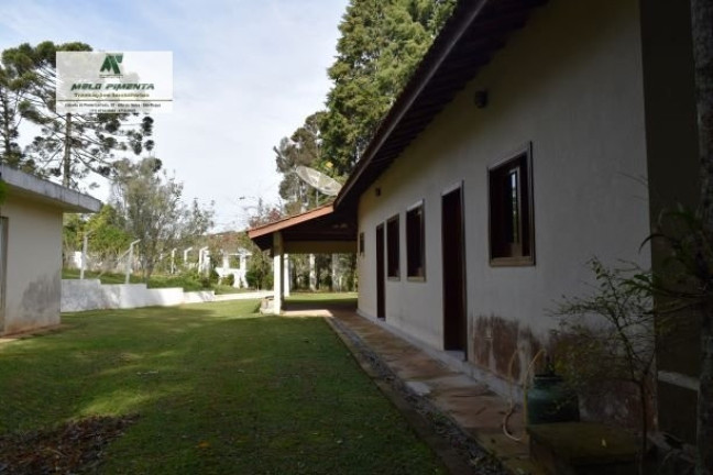 Imagem Chácara com 5 Quartos à Venda, 21.000 m² em Mailasqui - São Roque Imagem Chácara com 5 Quartos à Venda, 21.000 m² em Mailasqui - São Roque