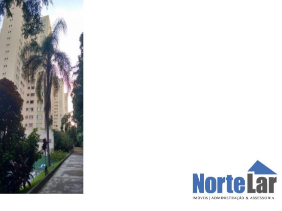 Imagem Apartamento com 2 Quartos à Venda, 56 m² em Jardim Regina - São Paulo Imagem Apartamento com 2 Quartos à Venda, 56 m² em Jardim Regina - São Paulo