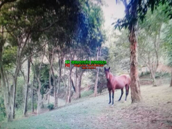 Imagem Chácara com 4 Quartos à Venda, 3 m² em São Francisco Xavier - São José Dos Campos Imagem Chácara com 4 Quartos à Venda, 3 m² em São Francisco Xavier - São José Dos Campos