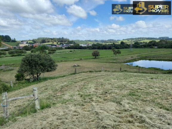 Imóvel com 6 Quartos à Venda, 180.000 m² em Centro - São Lourenço Do Sul