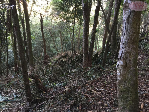 Imagem Terreno à Venda, 1.327 m² em Pilar Velho - Ribeirão Pires