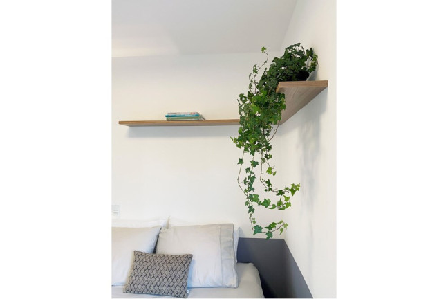 Imagem Imóvel com 1 Quarto à Venda, 35 m² em Saúde - São Paulo Imagem Imóvel com 1 Quarto à Venda, 35 m² em Saúde - São Paulo