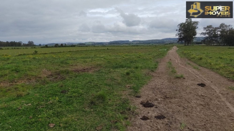Imagem Imóvel com 3 Quartos à Venda, 660.000 m² em Zona Rural - Capão Do Leão
