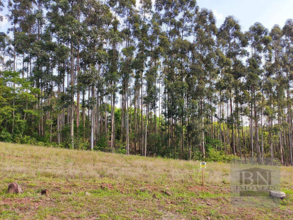 Imagem Terreno à Venda, 308 m² em Linha Santa Cruz - Santa Cruz Do Sul Imagem Terreno à Venda, 308 m² em Linha Santa Cruz - Santa Cruz Do Sul
