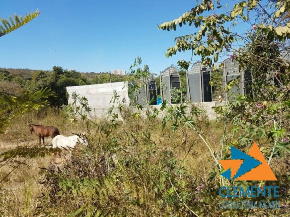 Imagem Terreno à Venda, 1.150 m² em Centro - Lagoa Santa Imagem Terreno à Venda, 1.150 m² em Centro - Lagoa Santa