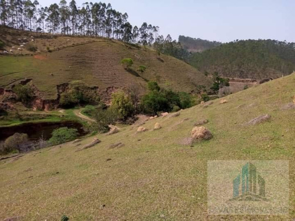 Imagem Chácara com 2 Quartos à Venda, 14.000 m² em Centro - Igaratá