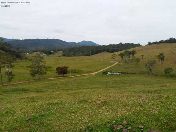 Imagem Imóvel com 3 Quartos à Venda, 1.936.000 m² em Pariquera-acu - Pariquera-acu Imagem Imóvel com 3 Quartos à Venda, 1.936.000 m² em Pariquera-acu - Pariquera-acu
