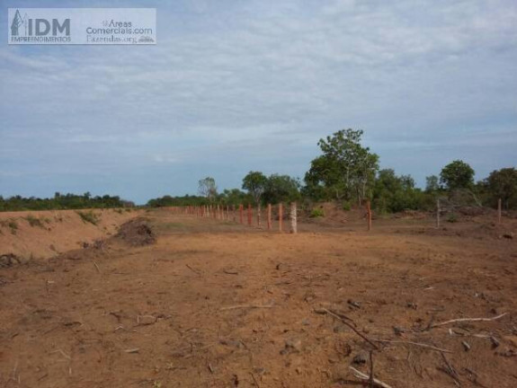 Imagem Chácara à Venda, 300.000.000 m² em Centro - Luciára